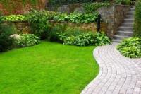 Tapia Landscaping image 3